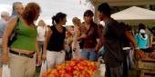 El tomate platense tuvo su fiesta en Los Hornos